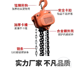 卓力生產(chǎn)倒鏈支持定制 卓力生產(chǎn)倒鏈支持定制